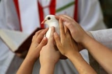Paz paloma de la paz