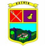escudo caloto