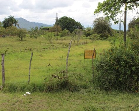 lote b