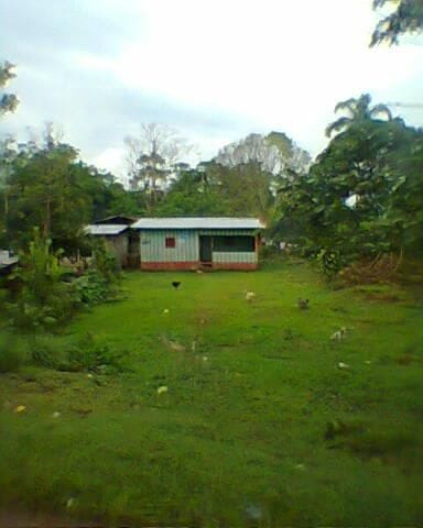 Casita Puerto