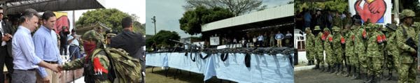 Entrega ELN 1