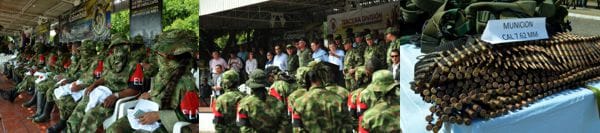Entrega ELN 2
