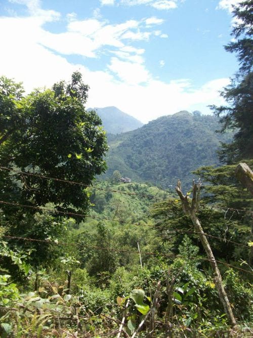 farallones