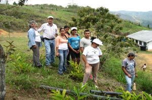 ecoaldea 3