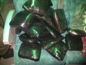 FOTO.MARIHUANA EN EL BORDO (1)