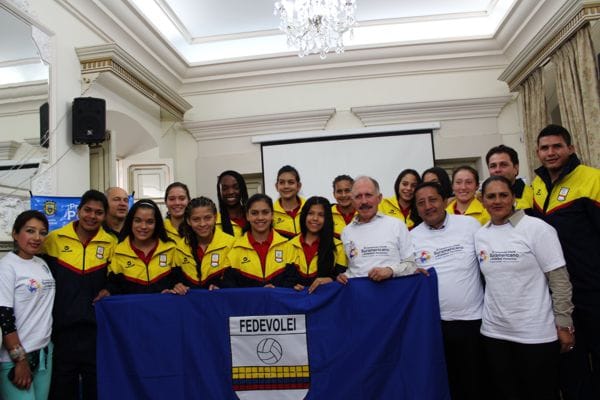 sudamericano voleybol