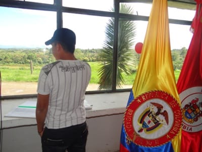 desmovilizado 1