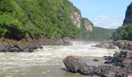 Araracuara