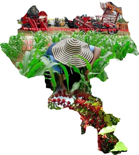 Cauca - Agro