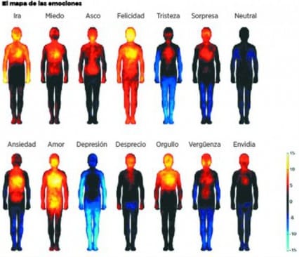 como reacciona el cuerpo
