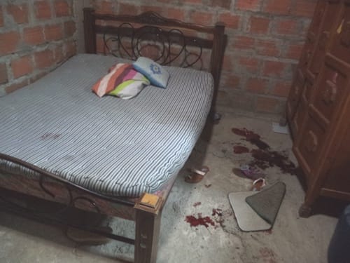 Crimen pasional 2