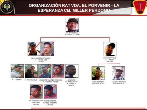 ESTRUCTURA CAPTURADOS