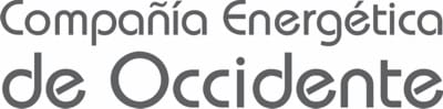 CEO LOGOTIPO CEO web