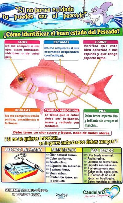 Cómo identificar el buen estado del pescado Cómo identificar el buen estado del pescado