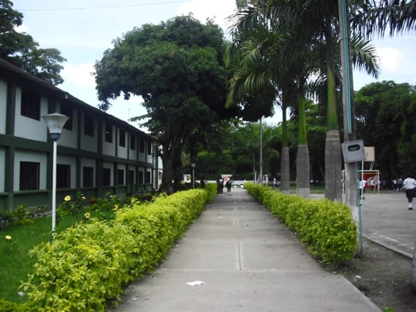 El Ortigal