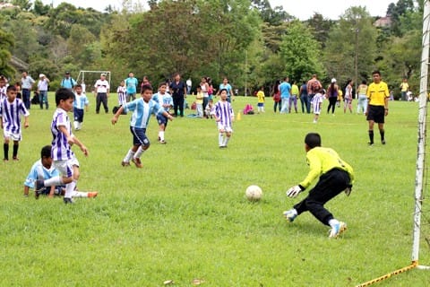 Festival infantil recreativo de fútbol Festival infantil recreativo de fútbol