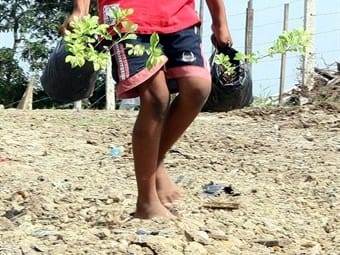 Los niños campesinos y al barbarie guerrillera Niños + Minas Antipersonales