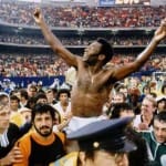 Pele-560