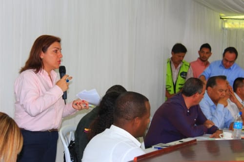 directora de la Agencia Nacional de Minería, María Constanza García Botero. directora agenacia nacional mineria