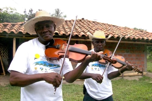 Violines caucanos violines negros foto de protada de articulo