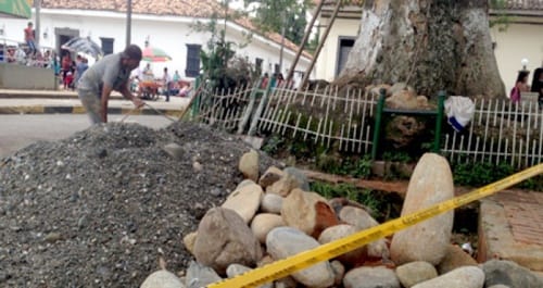 Relleno fitosanitario 1