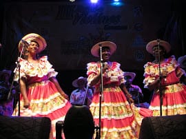 Zonal violines 6