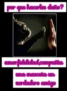 maltrato animal