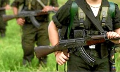 2 guerrilleros desmovilizados en el norte del Cauca 2 guerrilleros desmovilizados en el norte del Cauca