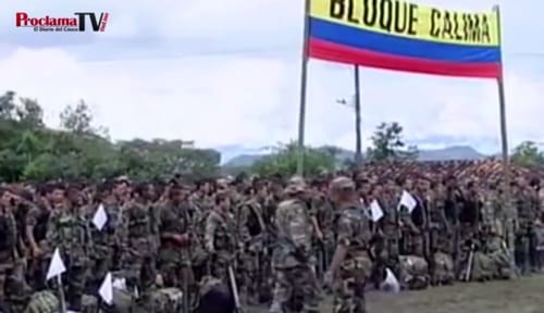 Bolque Calima