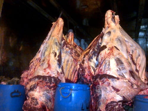 Decomisan carne en Quilichao por salubridad Decomisan carne en Quilichao
