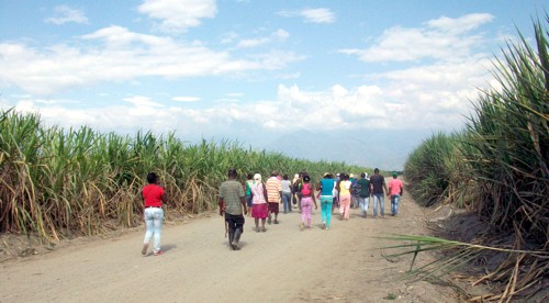 Familiares y amigos buscando a John Jeiber Mina Guazá Familiares y amigos buscando a John Jeiber Mina Guazá
