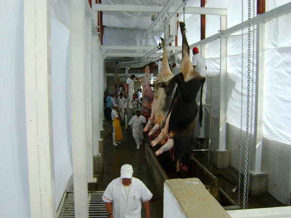 Frigorífico Santander de Quilichao Frigorífico Santander de Quilichao