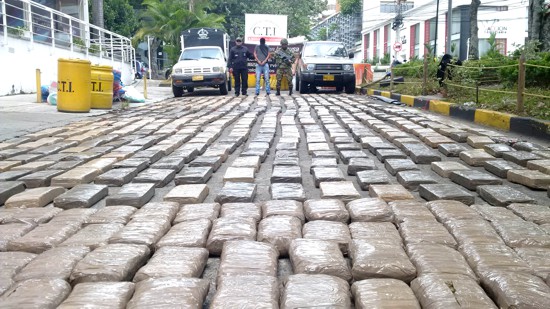 Incauntan marihuana en el norte del Cauca Incauntan marihuana en el norte del Cauca