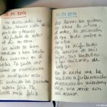 o-DIARIO-DE-BIENESTAR-570