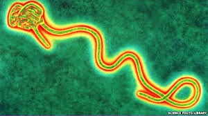 EBOLA EBOLA