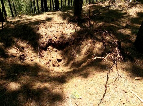 Explosivos detonados controladamente en Suárez - Cauca Explosivos detonados controladamente en Suárez - Cauca2