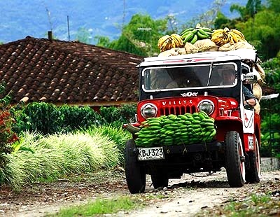 Economía campesina caucana