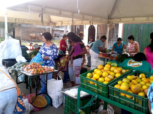 II ENCUENTRO REGIONAL DE PRODUCTORES Y SABERES TRADICIONALES II Encuentro Regional de Productores y Saberes Tradicionales1