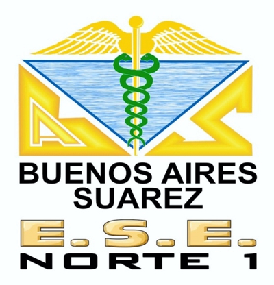 ESE Norte 1 - Buenos Aires - Suárez Logo ESE Norte 1 - Buenos Aires - Suárez