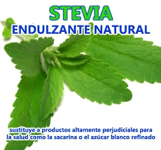 Stevia