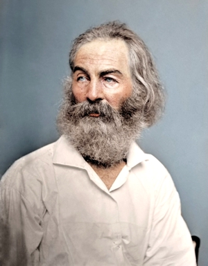 Whitman Whitman