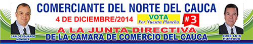 carlos-eduardo-galarza-pasacalle-Q