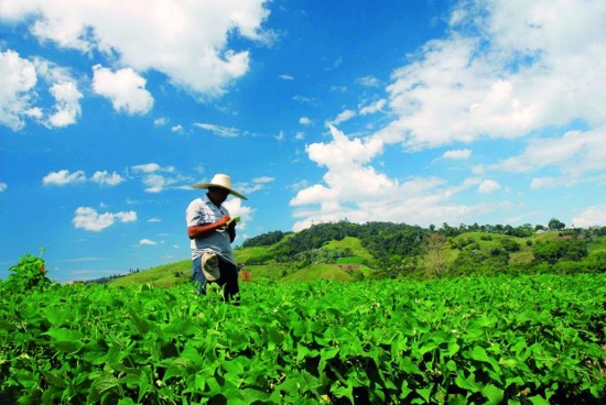 Agroencuentros en Popayán Agroencuentros en Popayán