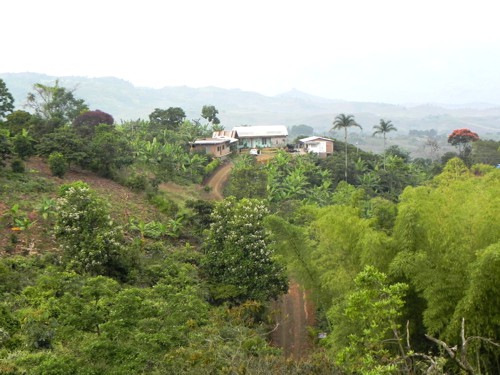 Emboscada de las Farc al Ejército en Santander de Quilichao Emboscada de las Farc al Ejército en Santander de Quilichao2
