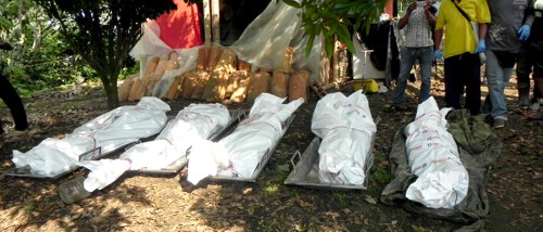 Identificados soldados muertos en emboscada de las Farc en Cauca Identificados los cinco soldados muertos en emboscada de las Farc en Cauca