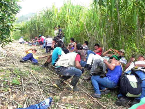 Identificados soldados muertos en emboscada de las Farc en Cauca Identificados los cinco soldados muertos en emboscada de las Farc en Cauca2