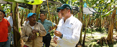 En-2015-pasamos-de-la-habladera-a-la-sembradera