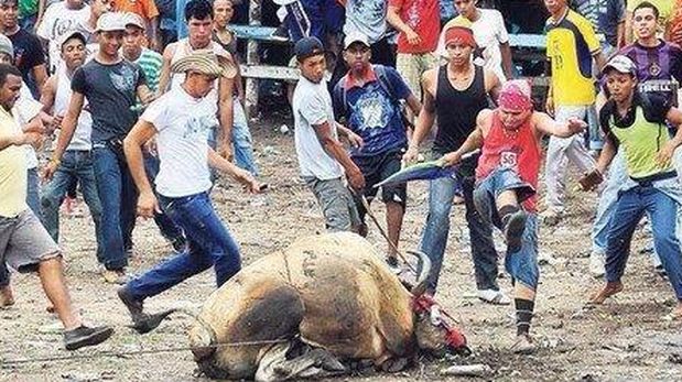 Asesinado toro Turbaco Gloria Cepeda Vargas, Turbaco