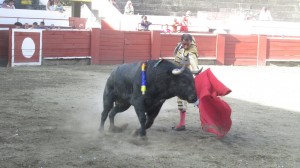 Toros Popayan Toros popayan foto Asi Ocurrio 2