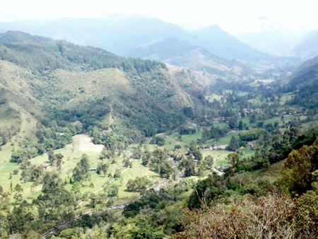 Valle del Cocora cruzado por el Río Quindío desde el Mirador de Salento Valle del Cocora cruzado por el Río Quindío desde el Mirador de Salento